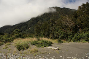 bush, day, eye level view, grass, mountain, summer, sunlight, sunny, sunshine, tree