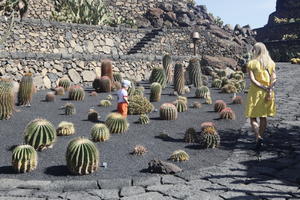 back, cactus, Canarias, day, evergreen, eye level view, mother and child, park, Spain, succulent plant, summer, sunny, walking, woman