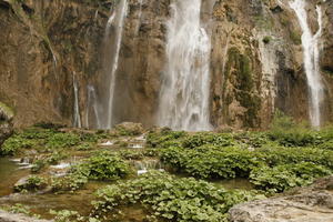 bush, Croatia, day, diffuse, diffused light, eye level view, Karlovacka, natural light, shrub, summer, waterfall