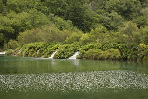 bush, Croatia, day, diffuse, diffused light, eye level view, Karlovacka, lake, natural light, shrub, summer, woodland