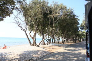 beach, Croatia, day, eye level view, promenade, summer, sunlight, sunny, sunshine, tree, vegetation, Zadarska