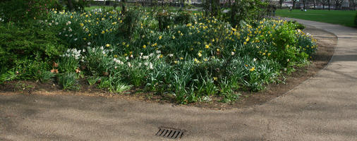 day, England, eye level view, flower, greenery, London, park, path, spring, The United Kingdom, tree