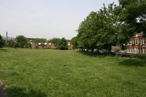 bright, broad-leaf tree, broad-leaved tree, day, direct sunlight, England, eye level view, grass, London, park, summer, sunny, The United Kingdom, treeline