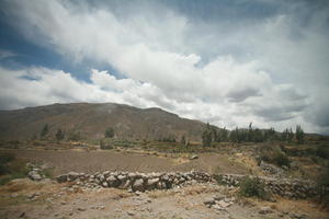 Arequipa, Arequipa, autumn, day, eye level view, field, moorland, mountain, natural light, Peru, sunny, tree, vegetation