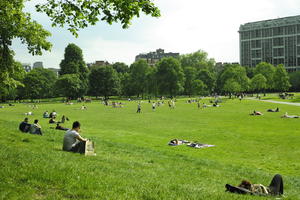 day, elevated, England, grass, Hyde Park, London, park, people, sitting, spring, sunny, The United Kingdom, vegetation