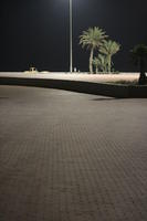 Agadir, artificial lighting, autumn, evening, eye level view, Morocco, palm, pavement, tree, vegetation