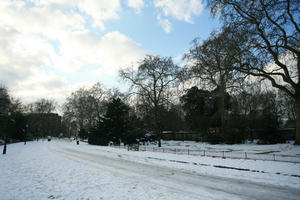 ambient light, Battersea park, day, diffuse, diffused light, England, eye level view, London, natural light, park, snow, The United Kingdom, track, tree, vegetation, winter