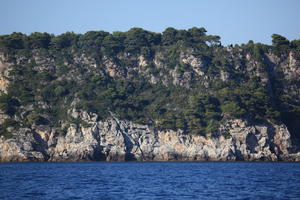 coastline, Croatia, day, eye level view, rockery, seascape, summer, tree, vegetation