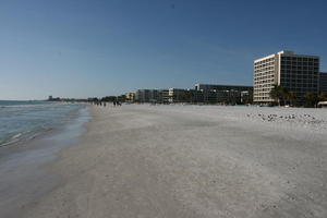 apartment, beach, day, eye level view, Florida, Sarasota, seagull, seascape, sunny, sunshine, The United States, winter