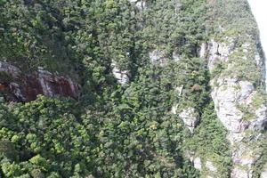 day, elevated, forest, Kedah, Malaysia, mountain, sunny, vegetation