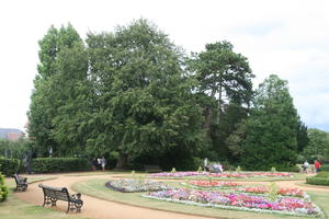 Abingdon, bench, coniferous, day, England, eye level view, flower, flowering, garden, natural light, park, summer, The United Kingdom, tree, treeline