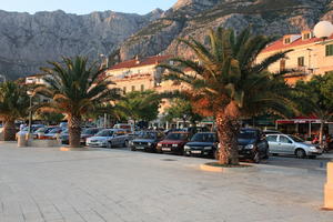 car, Croatia, dusk, evening, eye level view, Makarska, palm, parking, pavement, Splitsko-Dalmatinska, tree, vegetation