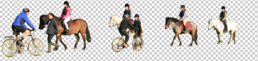 afternoon, autumn, bicycle, cutout, cutout groups, cutout people, day, direct sunlight, eye level view, group, horse, people, riding, sunlight, sunny