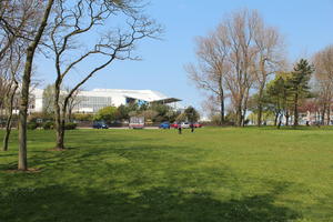 Boulogne-sur-Mer, broad-leaf tree, broad-leaved tree, day, eye level view, France, grass, Nord-Pas-de-Calais, park, spring, sunny, tree