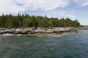 broad-leaf tree, broad-leaved tree, Canada, cliff, coniferous, day, eye level view, Ontario, summer, sunny, Tobermory, tree, treeline, woodland