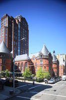 building, day, elevated, Manhattan, New York, street, sunny, The United States, tree, vegetation