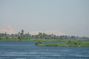 day, East Timor, Egypt, Egypt, eye level view, natural light, palm, river, river Nile, tree, vegetation