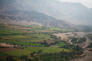 aerial view, day, field, Ica, natural light, Nazca, Peru, sunny, tree, vegetation