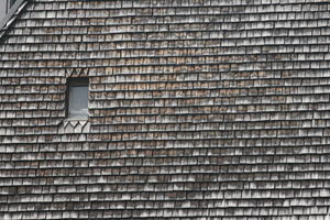 day, eye level view, rooftops, sunny, texture, window, wood