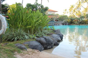 Bali, day, eye level view, garden, grass, hotel, Indonesia, plant, pool, resort, shrub, summer, sunny, tropical