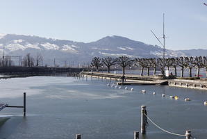 broad-leaf tree, broad-leaved tree, buoy, day, eye level view, lake, mountain, Rapperswil, Sankt Gallen, sunny, Switzerland, treeline, winter