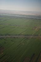 aerial view, day, East Timor, Egypt, Egypt, field, natural light