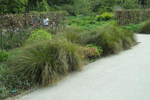 day, England, eye level view, garden, grass, natural light, park, plant, The United Kingdom, Woking