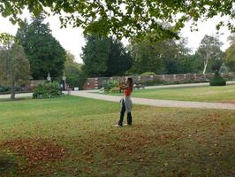 afternoon, bush, day, England, eye level view, grass, natural light, park, photographer, summer, sunny, The United Kingdom, tree, woman