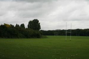 day, England, eye level view, field, grass, London, natural light, The United Kingdom, vegetation