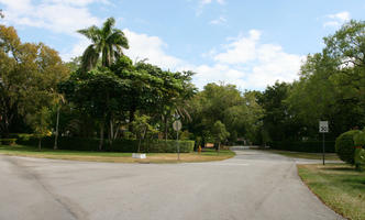 day, evergreen, eye level view, Florida, hedge, Miami, palm, park, street, summer, sunny, The United States, tree