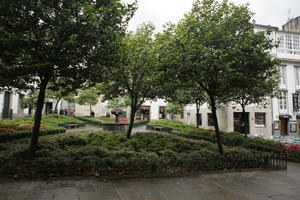 bush, day, eye level view, Galicia, garden, overcast, Santiago de Compostela, Spain, tree