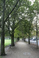 afternoon, Braunschweig, day, Deutschland, eye level view, natural light, Niedersachsen, park, path, summer, tree, vegetation