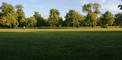 afternoon, broad-leaf tree, broad-leaved tree, day, England, eye level view, grass, London, park, summer, sunny, The United Kingdom, treeline