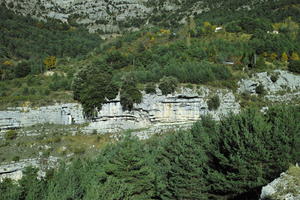 autumn, bright, day, elevated, forest, France, mountain, Provence Alpes Cote D