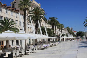 cafe, chair, Croatia, day, evergreen, eye level view, furniture, palm, pavement, Phoenix canariensis, Splitsko-Dalmatinska, summer, sunny, table