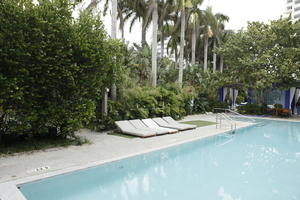 bush, day, diffuse, diffused light, eye level view, Florida, Miami, pool, shrub, summer, sunbed, The United States