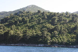 coastline, Croatia, Croatia, day, eye level view, hill, seascape, sunny, tree, vegetation