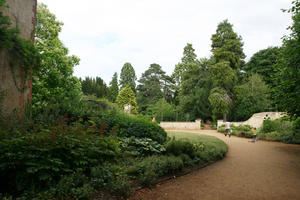 Abingdon, bush, day, England, eye level view, garden, natural light, park, shrub, summer, The United Kingdom, tree