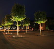 artificial lighting, autumn, broad-leaf tree, broad-leaved tree, city lights, England, eye level view, Gloucester, night, outdoor lighting, pavement, square, The United Kingdom, tree, urban, young