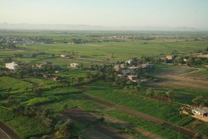 aerial view, building, dusk, East Timor, Egypt, Egypt, field, palm, vegetation