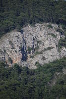 Croatia, day, eye level view, mountain, tree, vegetation, woodland