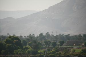 day, East Timor, Egypt, Egypt, elevated, mountain, natural light, tree, vegetation