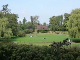 afternoon, bush, day, England, eye level view, garden, grass, group, natural light, park, people, summer, sunny, The United Kingdom, tree