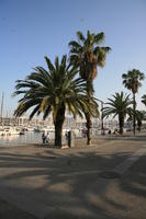 Barcelona, Cataluña, day, dusk, eye level view, marina, palm, path, Spain, tropical, vegetation