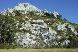 autumn, bright, day, eye level view, France, mountain, Provence Alpes Cote D