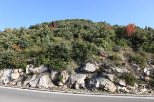 autumn, bright, bush, Croatia, day, Dubrovacko-Neretvanska, Dubrovnik, eye level view, hill, natural light, shrubland, sunny