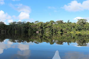 day, eye level view, Madre de Dios, Peru, river, shrub, summer, sunny, treeline, tropical