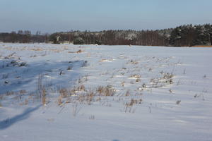 afternoon, bright, day, eye level view, field, open space, Poland, snow, sunny, treeline, Wielkopolskie, winter