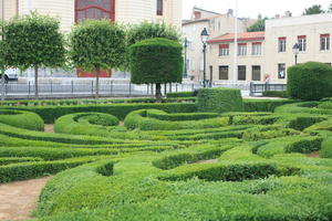 bush, Castres, day, eye level view, France, garden, hedge, Midi-Pyrenees, natural light, park, summer, tree