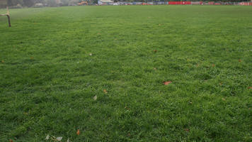 autumn, day, England, eye level view, grass, London, natural light, park, The United Kingdom